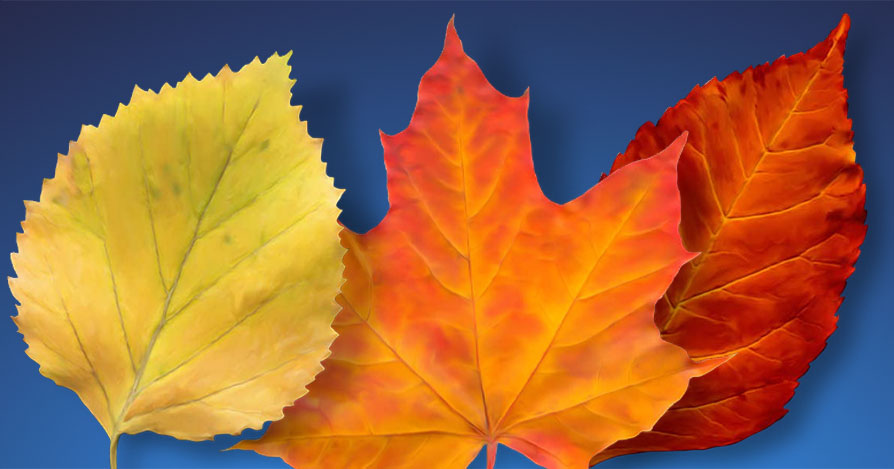 Banner Podzim s kreativními papíry