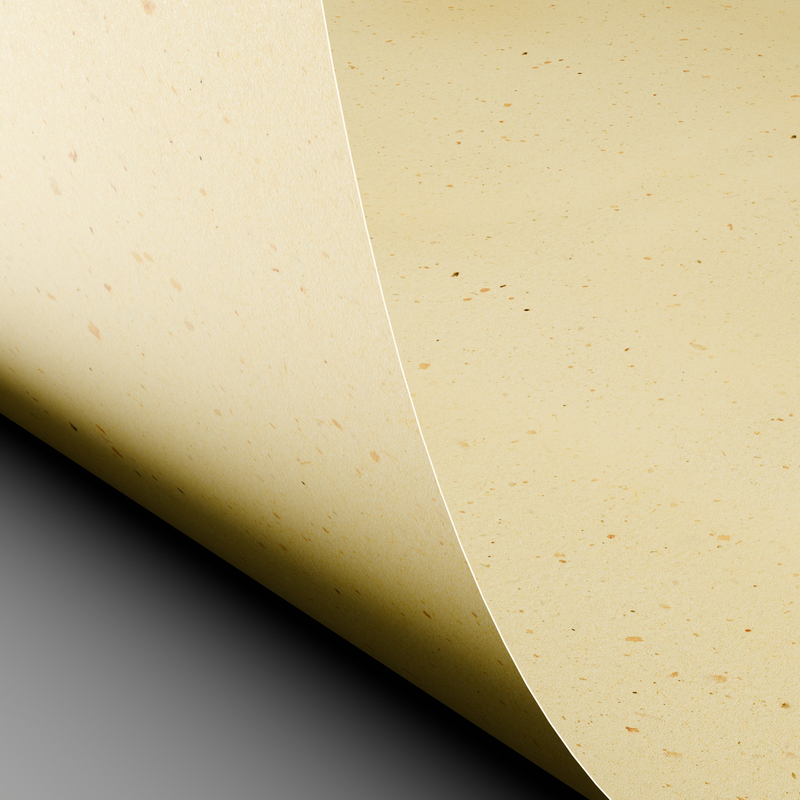 LOSQXL_MI2_257067_Curious_Particles_Cream_Rose_2D_Curve_00_09122024.jpg