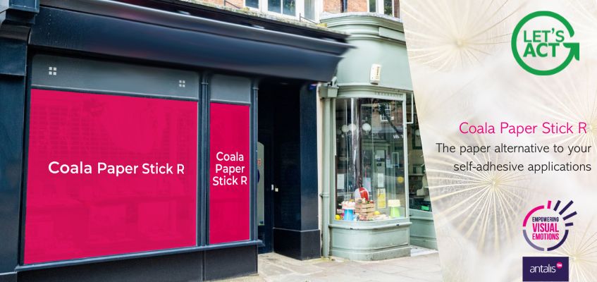 Coala Paper Stick R.jpg