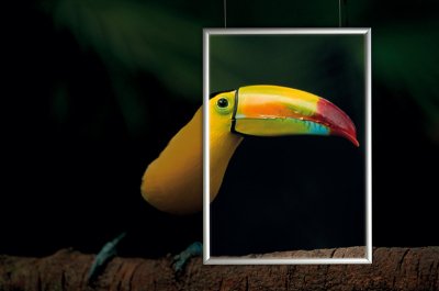 Posterframe