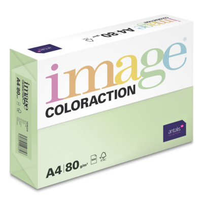 Image Coloraction rys