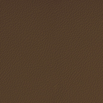 Coala Interior Film Fabric