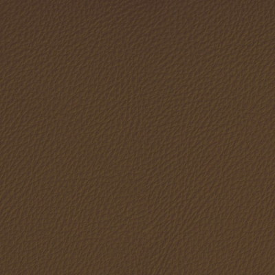 Coala interior Film Textile Leather Prestige LP01