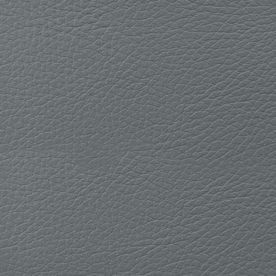 Coala interior Film Textile Leather Prestige LP02