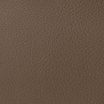 Coala Interior Film Fabric