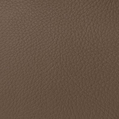 Coala interior Film Textile Leather Prestige LP05