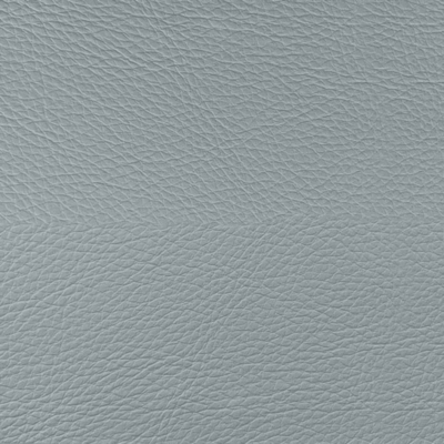Coala interior Film Textile Leather Prestige LP06