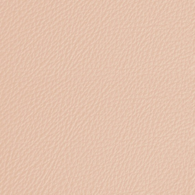 Coala interior Film Textile Leather Prestige LP08
