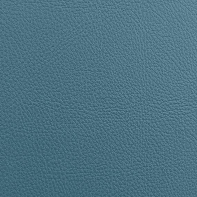 Coala interior Film Textile Leather Prestige LP10