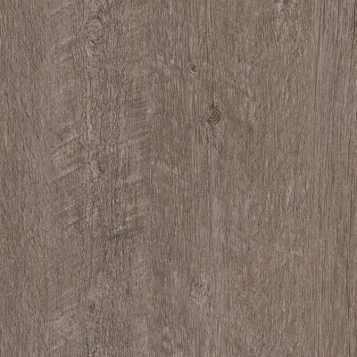 Coala Interior Film Wood