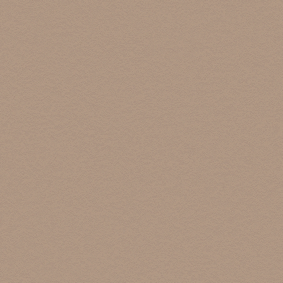 Coala Interior Film Concrete