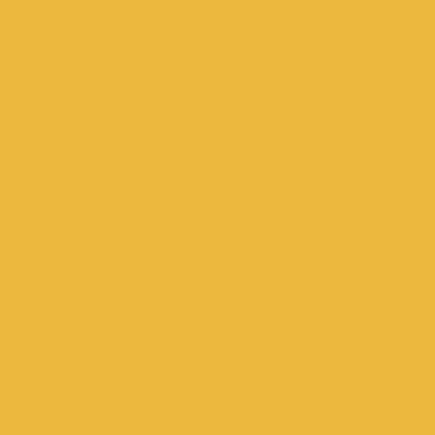 Coala Interior Film Solid Colours