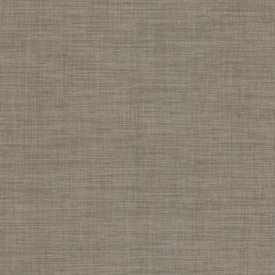 Coala Interior Film Fabric