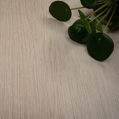 Coala Interior Film Wood