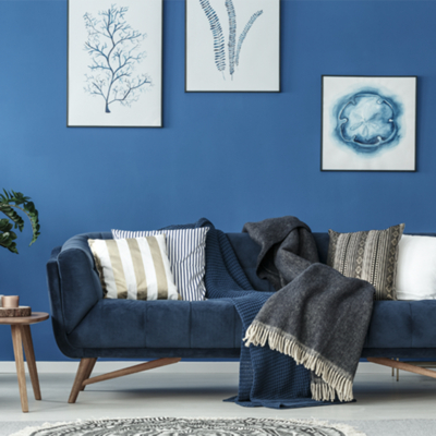 Coala Photo Gloss 240