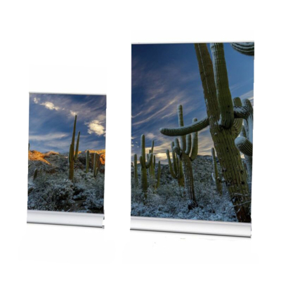 Coala System Roll-Up MINI