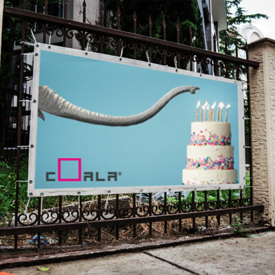 Coala Frontlit Evo Weldable, 1600mm x 30m