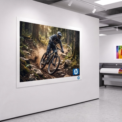 HP Professional Satin Photo Paper 2