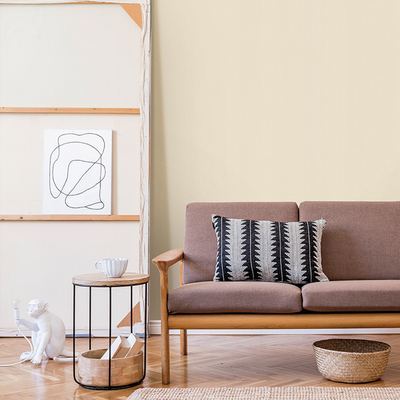 Coala Interior Film Fabric