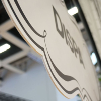 Dispa ® bílá 3,8mm 2450x1250mm