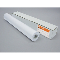 Xerografický papír v roli 80 g / 297 mm