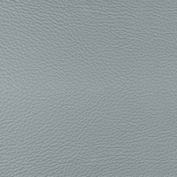 Coala Interior Film Fabric