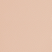 Coala Interior Film Fabric