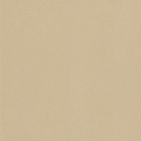 Coala Interior Film Fabric