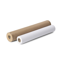 Coala Frontlit Event S Matt, 1067mm x 50m