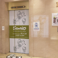 Coala Vinyl W matt 100 mic 1067mm x 20m