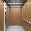 3M Di-Noc, Wood Grain WG-2246 1220 mm x 50 m 7100026744