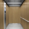 3M Di-Noc, Wood Grain WG-2432 1220 mm x 50 m 7100320921