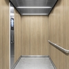 3M Di-Noc, Wood Grain WG-2450 1220 mm x 50 m 7100320892