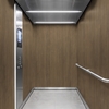 3M Di-Noc, Wood Grain WG-2462 1220 mm x 50 m 7100320971