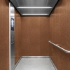 3M Di-Noc, Wood Grain WG-763 1220 mm x 50 m 7000091275