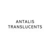 Antalis Translucents