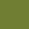 Avery Dennison SWF Gloss Pearl Light Green, 1520mm x 25m