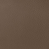 Coala Interior Film Fabric
