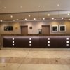 Coala Interior Film Fabric
