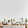Coala Interior Film Solid Colours