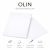Olin Regular