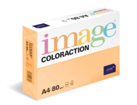 Image Coloraction 80 g / A4, Savana